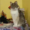 Отзыв от Римма Молчанова